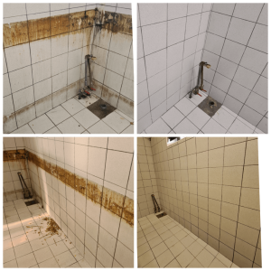 Odmašćivanje1